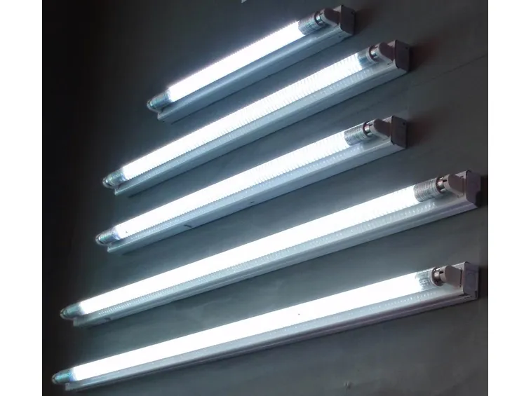 Lampadine fluorescenti accese