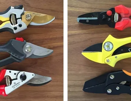 Modelli di forbici per potatura
