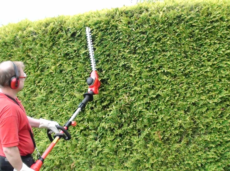 Giardiniere che utilizza tagliasiepi