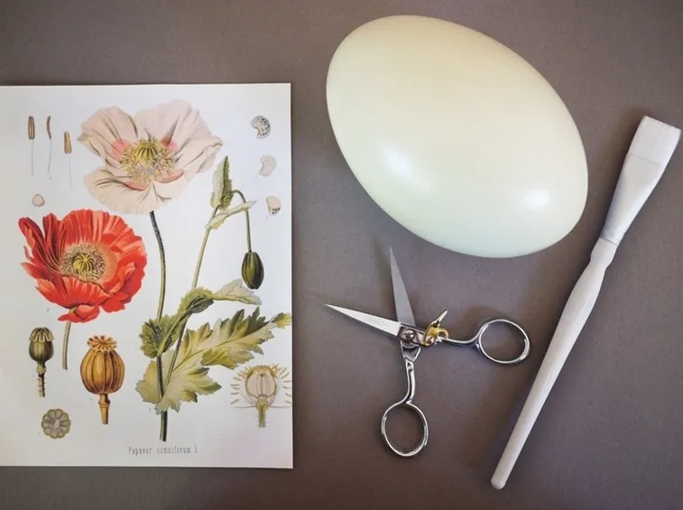 Attrezzature per decoupage