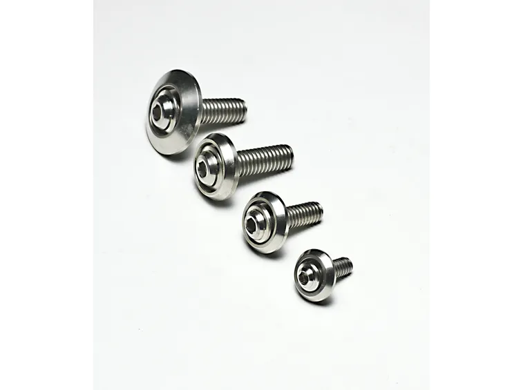 Varie dimensioni di bulloneria inox