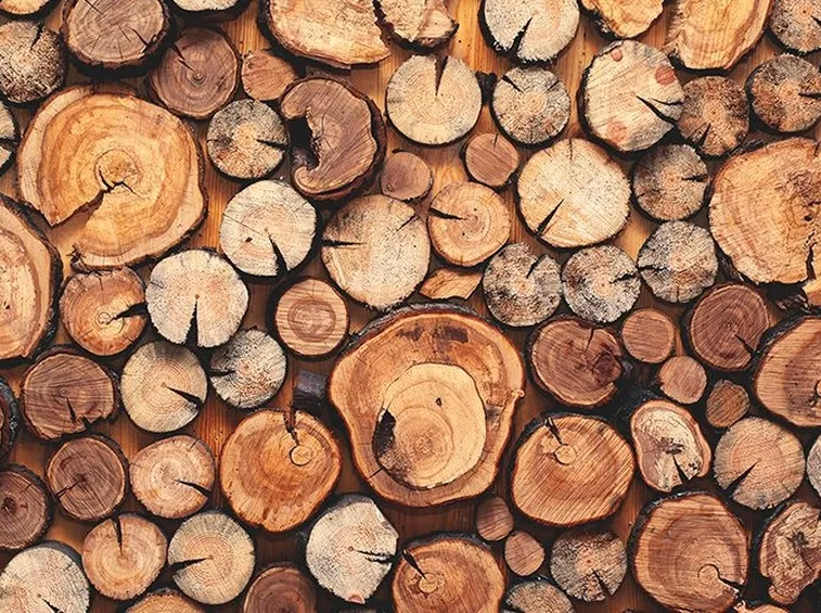 Jim's wood