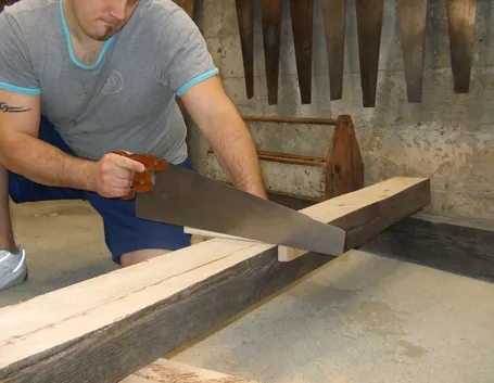 Segare legno