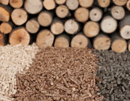 Varie tipologie di biomasse legnose