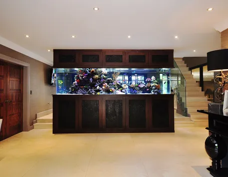 Esempio di acquario
