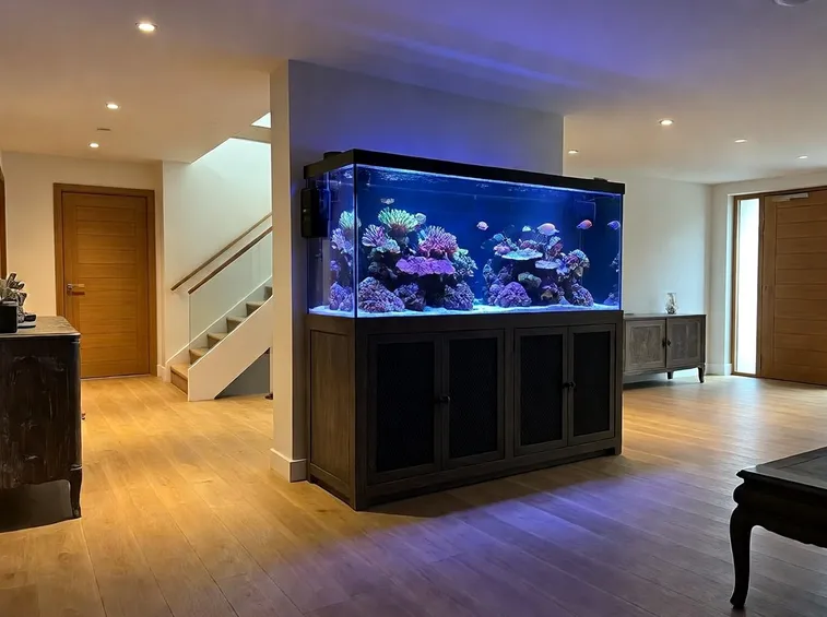 Esempio di acquario