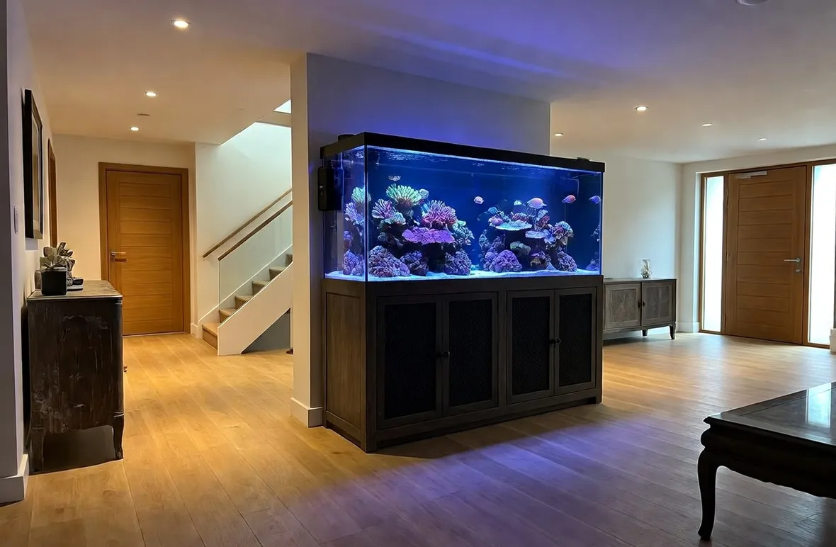 Esempio di acquario