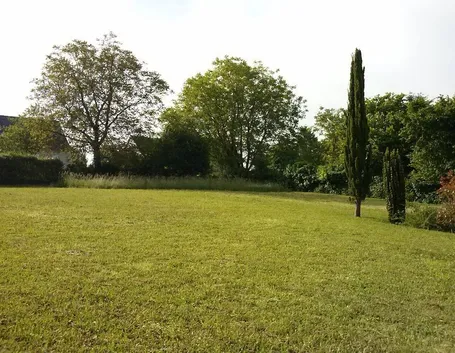 esempio Terreno edificabile