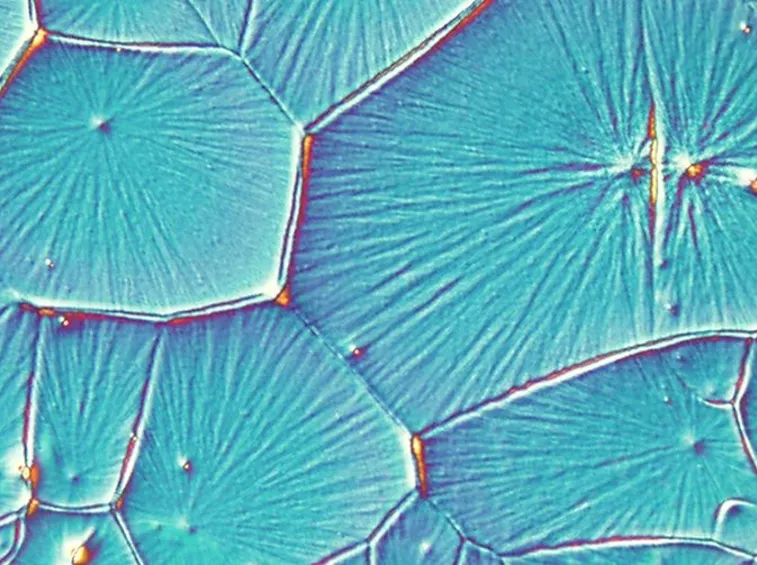 Celle solari con perovskite