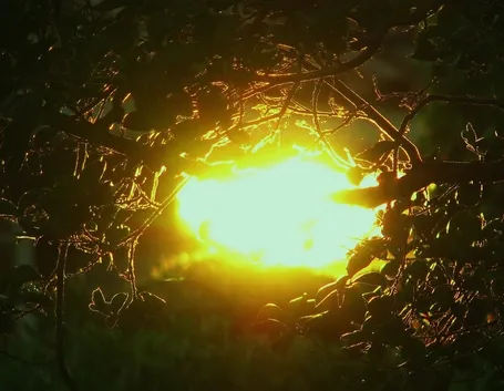 Sole energia