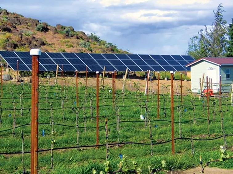 Impianto solare per agricoltura