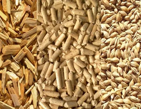 Vari tipi di biomasse