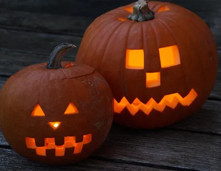 Zucche di Halloween