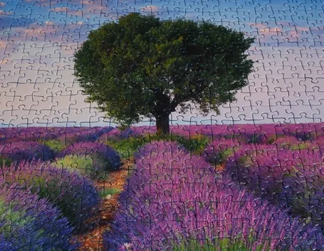 Puzzle finito