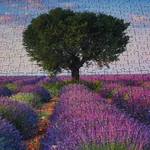 Puzzle finito