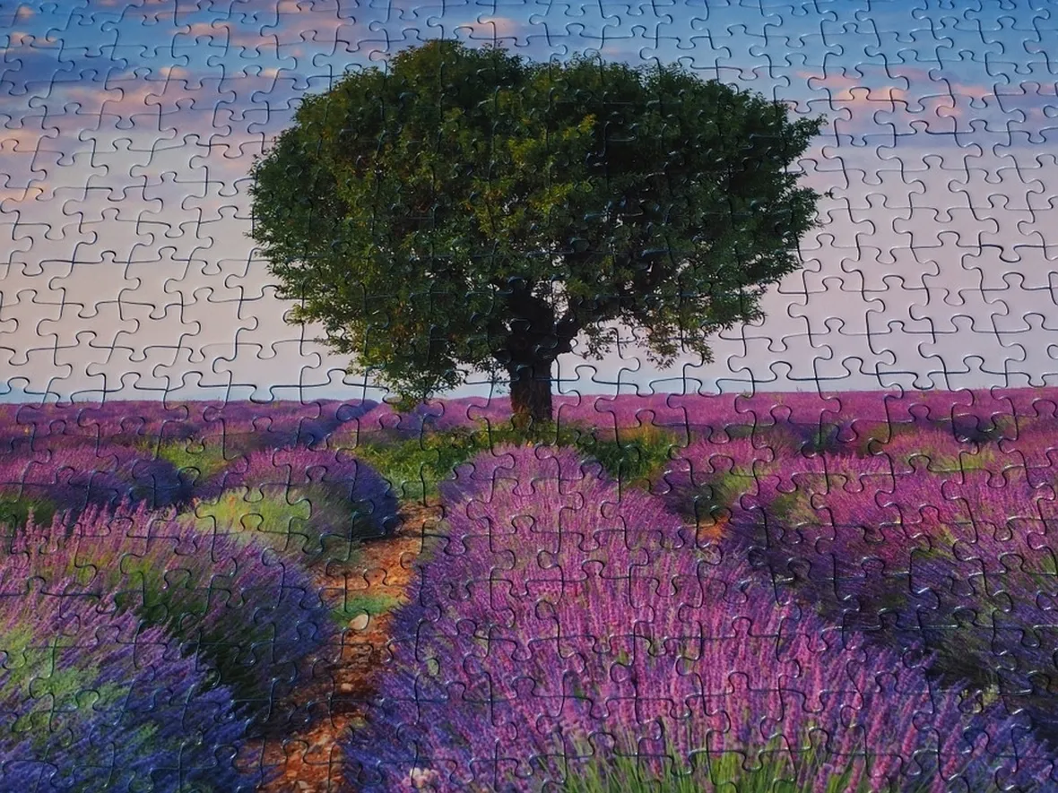Puzzle finito