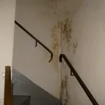 Umidità formatasi sulle pareti