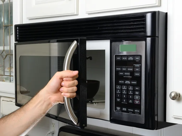 forno a microonde professionale
