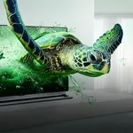 La tv oled ha una resa impeccabile