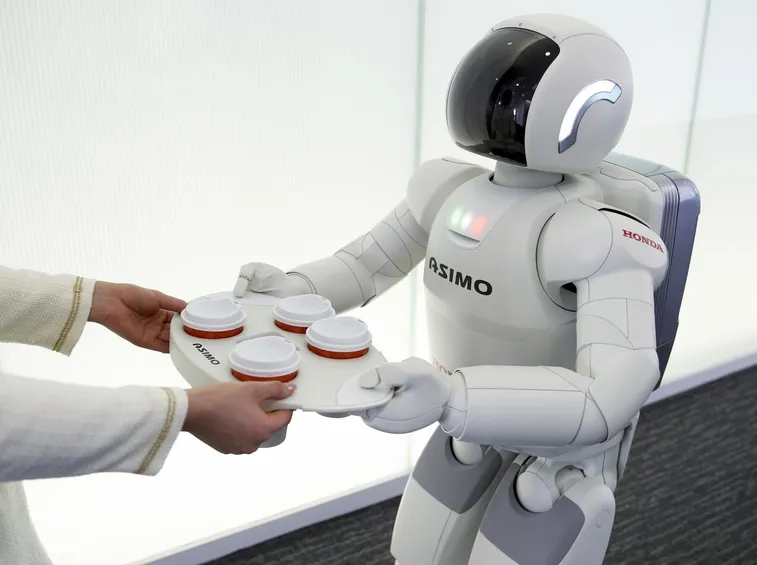 robot domestico