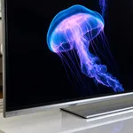 La tv oled con le sue immagini brillanti
