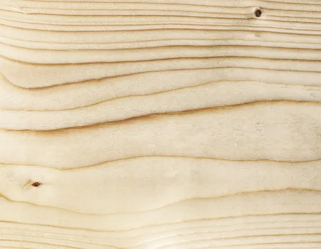 Texture legno abete