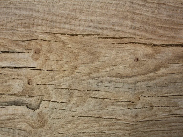 Legno di rovere