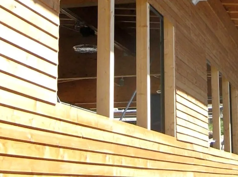 Perline di legno