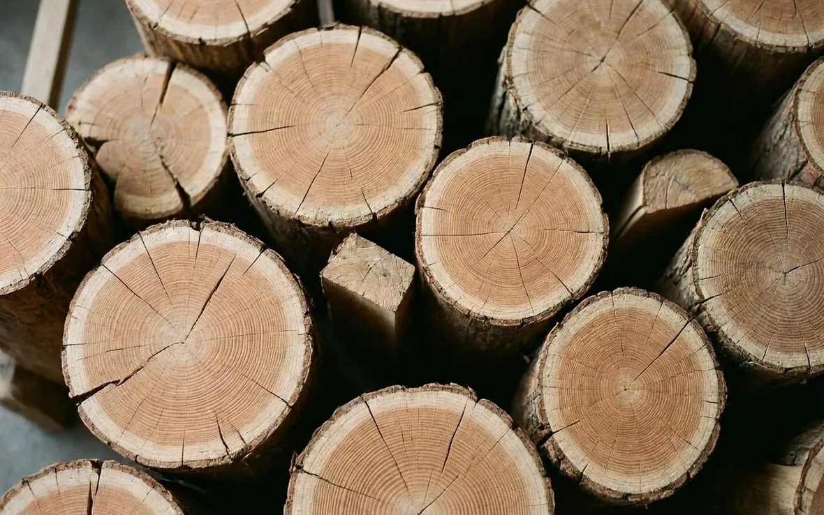 Tronchi di legno
