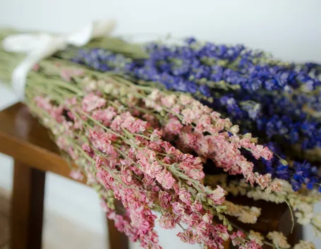 Mazzi di fiori secchi