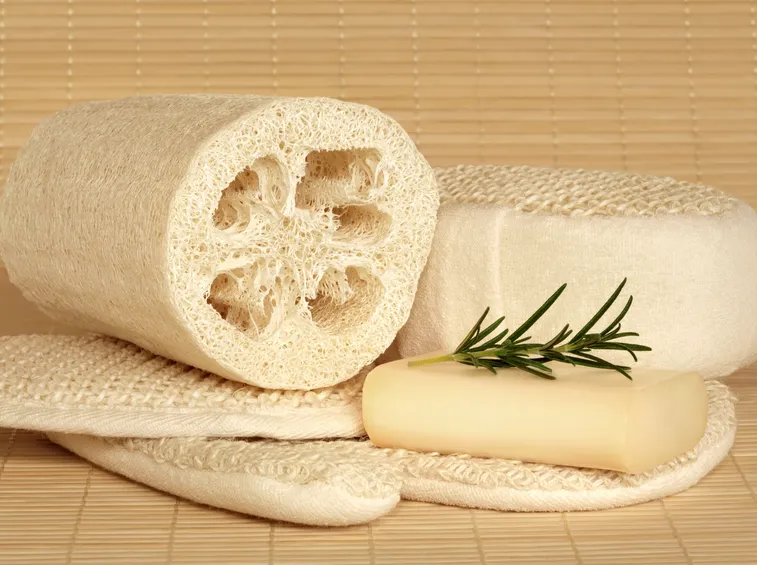 Spugna vegetale derivante dalla luffa