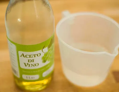 Detergente composto da limone e aceto