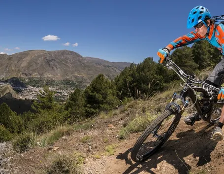 Esempio di mountain bike