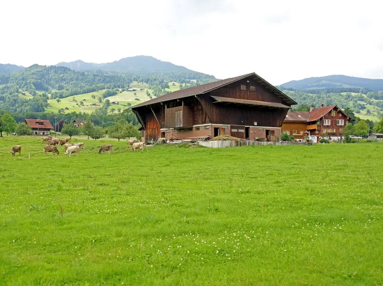 Agriturismo con animali