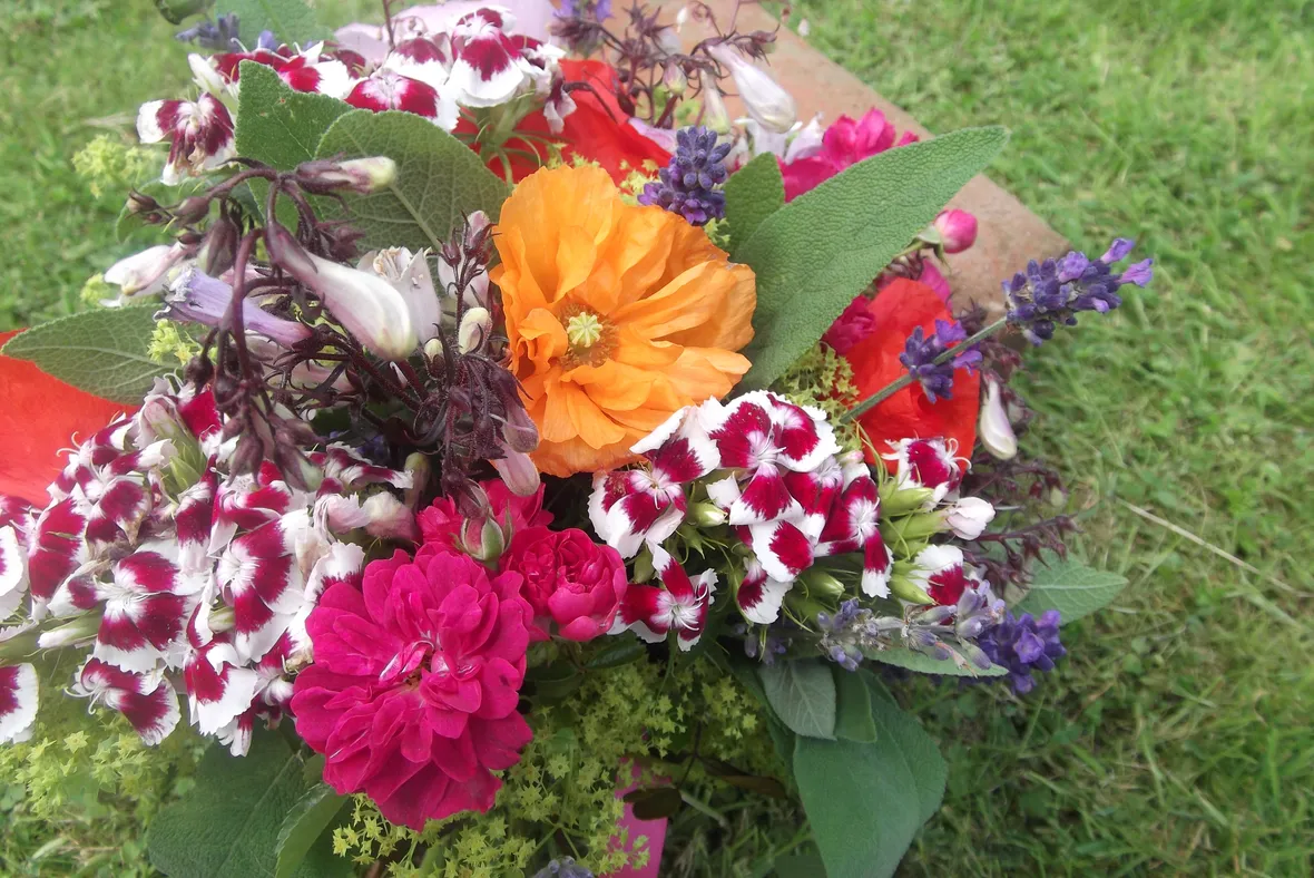 Fiori di stagione primaverili