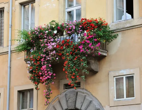 Balcone fiorito
