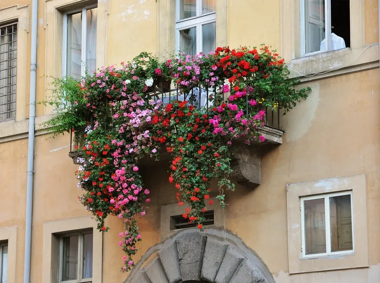 Balcone fiorito