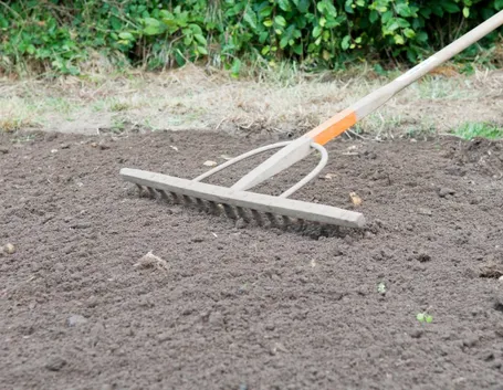 Preparazione del terreno