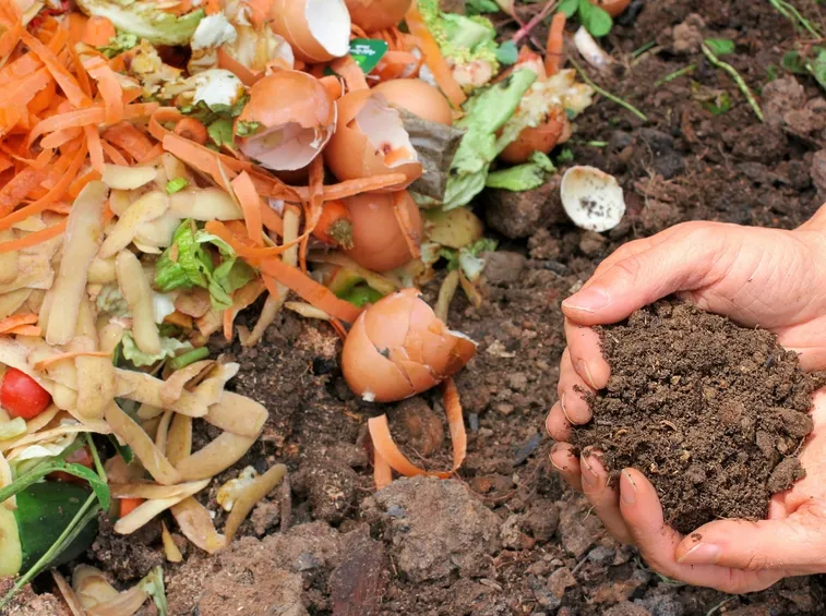 Rifiuti alimentari