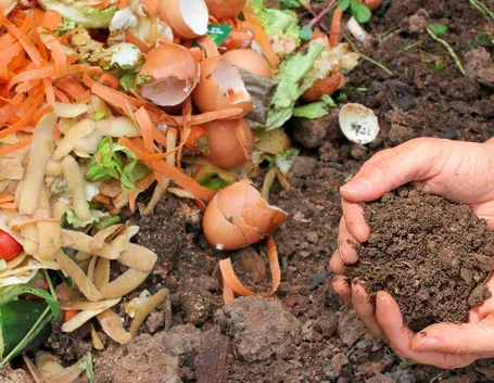 Il compost durante la sua formazione