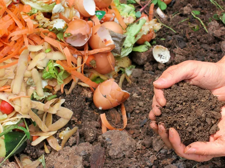 Il compost durante la sua formazione