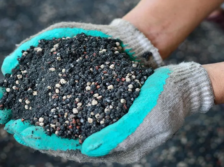 Concime organico per olivo