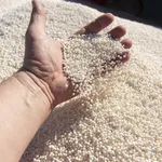Esempio di concime in granuli