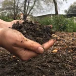 Il concime arricchisce la terra