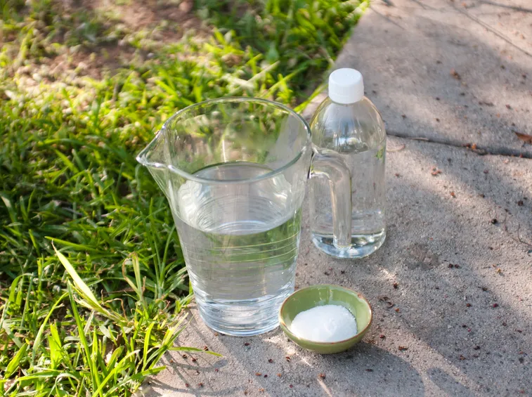 Diserbanti naturali fai da te