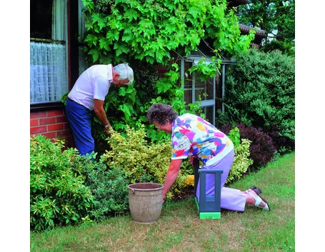 Giardinaggio fai da te