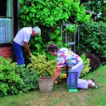 Giardinaggio fai da te