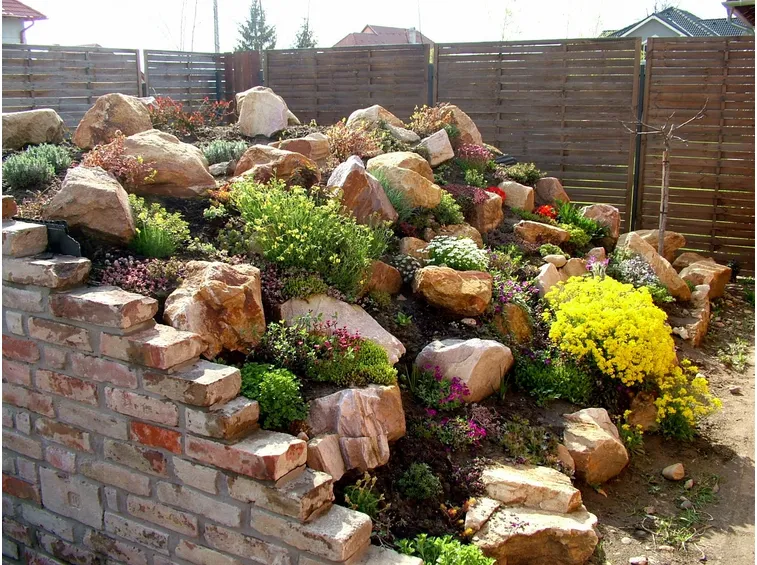 Giardino roccioso molto particolare
