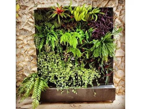 Esempio di giardino verticale