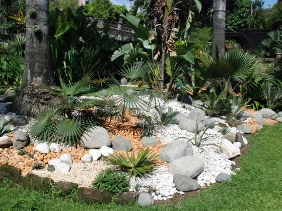 Angolo di giardino roccioso